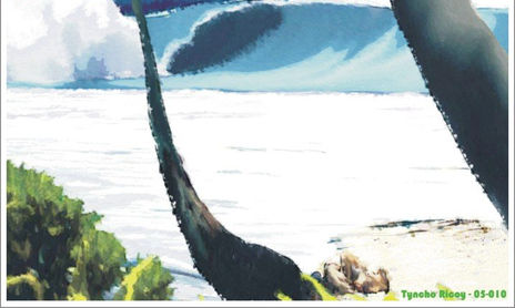 Surfing