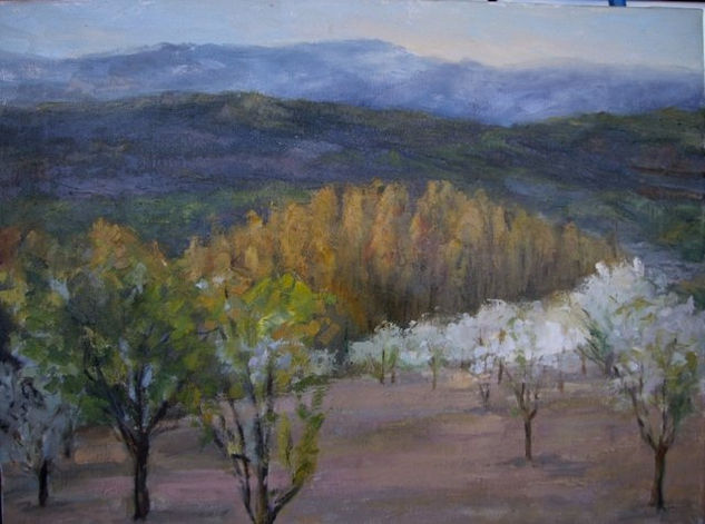 Cerezos en el Jerte Oil Canvas Landscaping