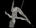 trapesista desnuda