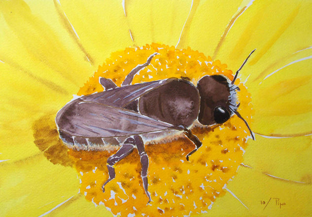 una abeja de primavera Acuarela Papel Floral