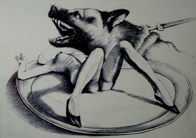 COMIDA PARA LOS PERROS