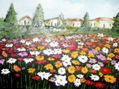 Campo de flores
