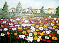 Campo de flores