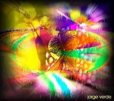 2010/019   pintura...