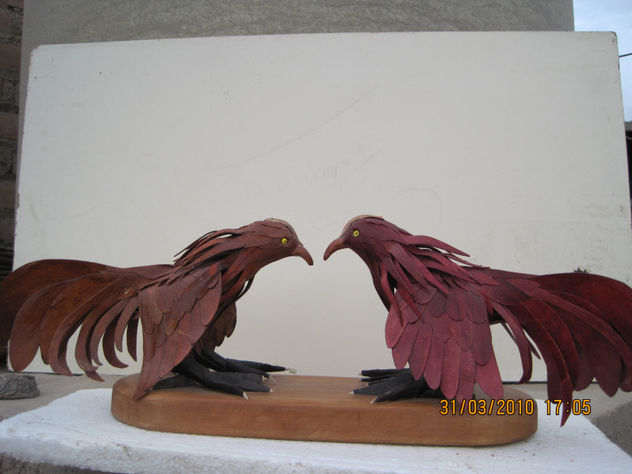 gallitos de pelea en  encuentro