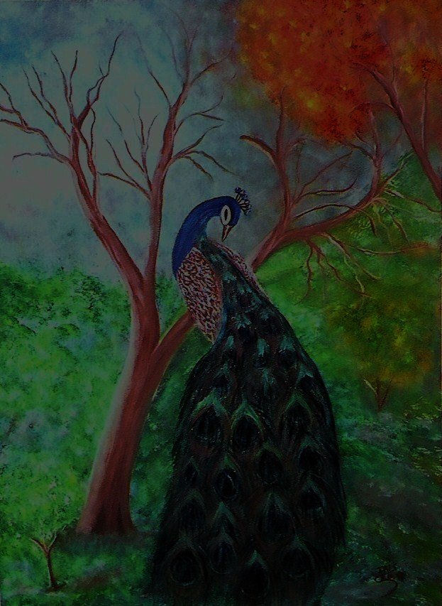PEACOCK
