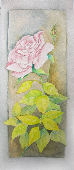 ROSA Acuarela Papel Paisaje