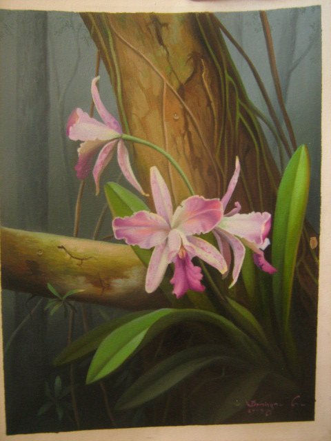 orquidea 11