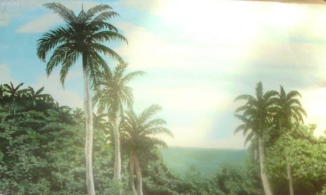 Paisaje