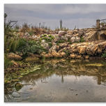 Castilla y León thumbnail 1