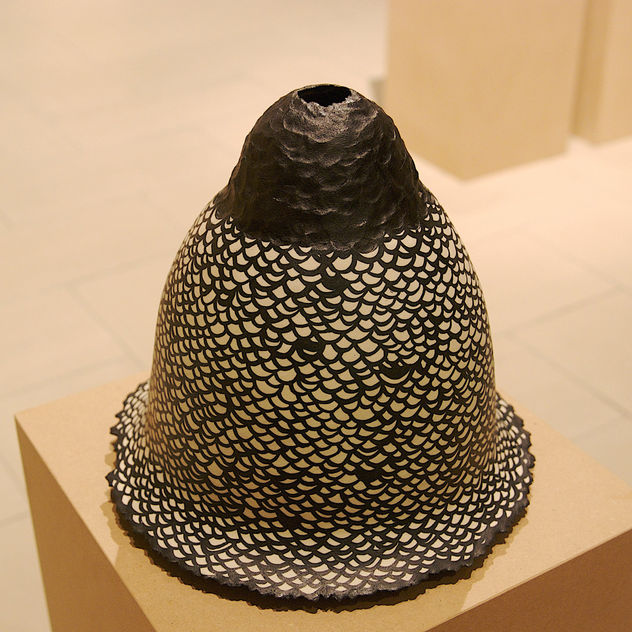 pell de peix 2