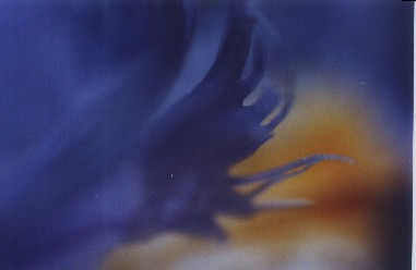 contrastes
