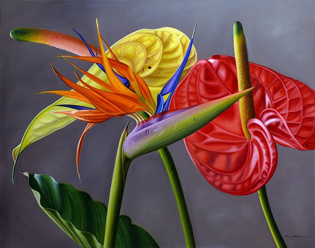 Anturias con Ave del paraíso Oil Canvas Floral Painting