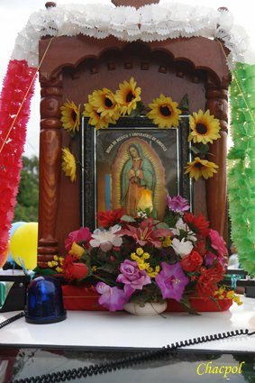 Guadalupe 221 Other Themes Color (Digital)