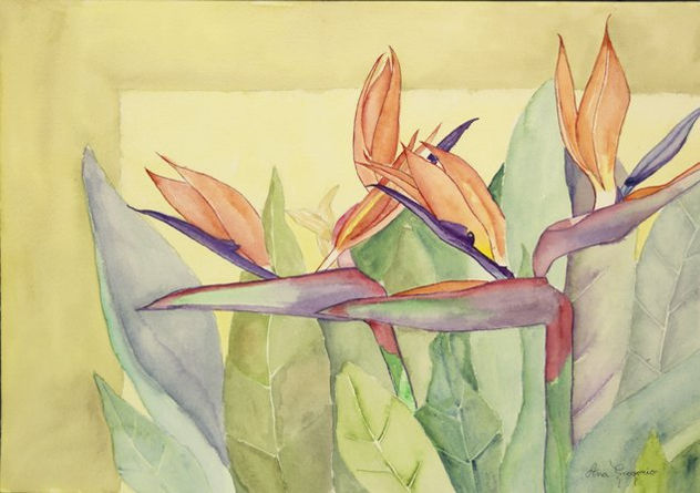 AVES DEL PARAISO