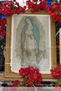 Guadalupe 220