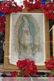 Guadalupe 220