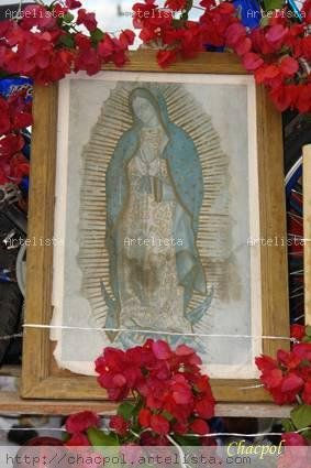 Guadalupe 220 Other Themes Color (Digital)