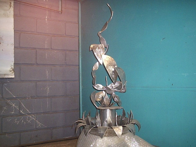 pileta de agua creada por pegasus hipocrenes