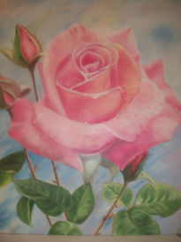 Rosa