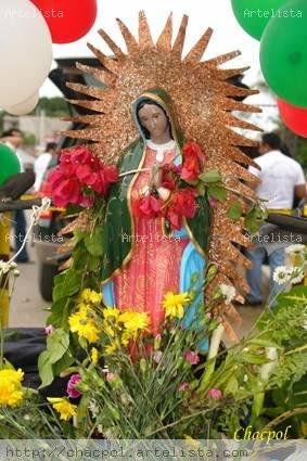 Guadalupe 216 Other Themes Color (Digital)