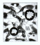 Nodulos I