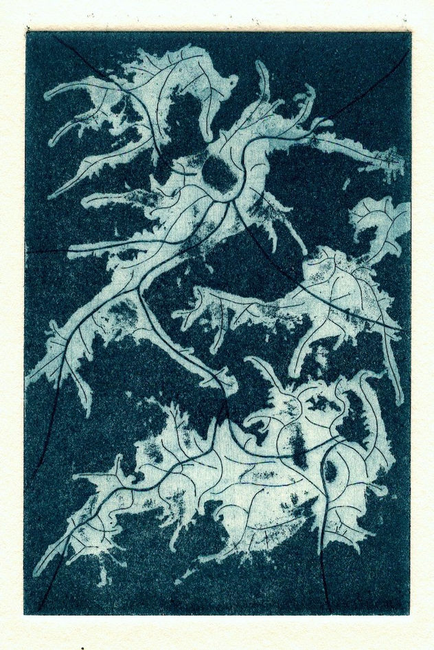 Ventus II