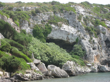 Rocas