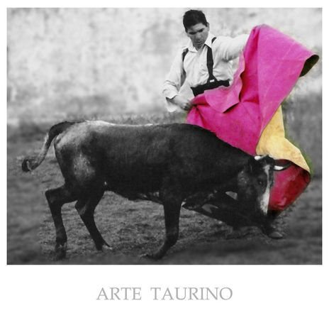 Toros