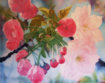 Flores de cerezo