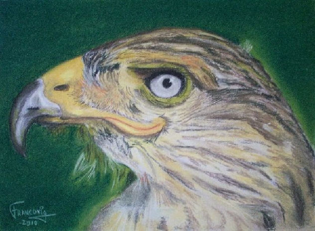 Aguila