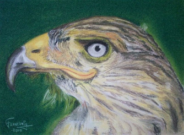 Aguila Pastel Papel Animales