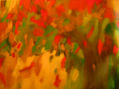 arbol entero