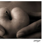 Haragizko amoreetaz thumbnail 2