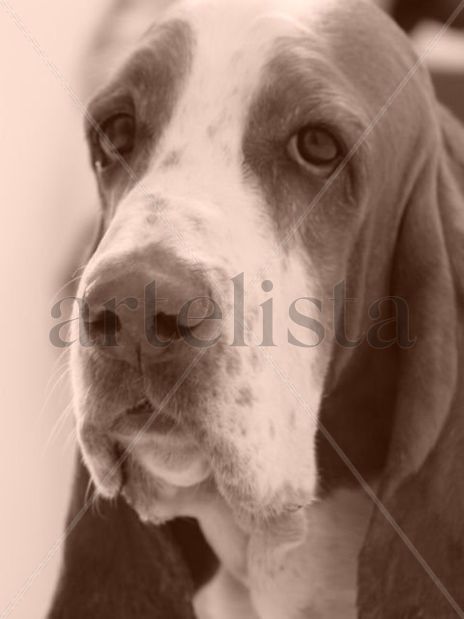 Sebastian