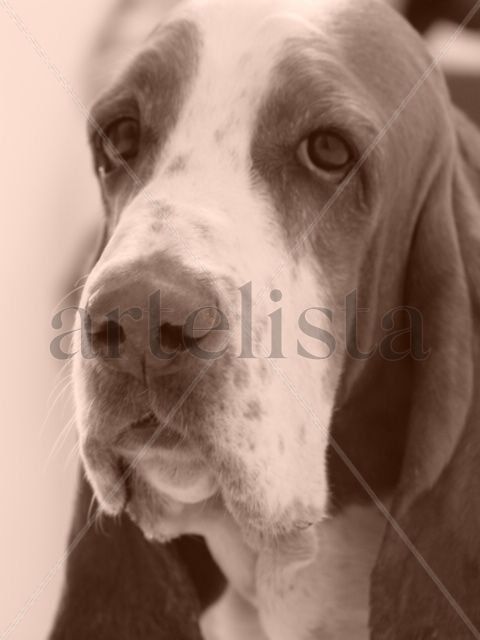 Sebastian
