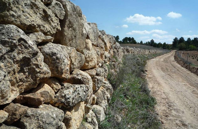 CAMINANTE, NO HAY CAMINO, SE HACE CAMINO AL ANDAR