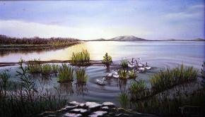 El Lago de los Cisnes Oil Canvas Landscaping