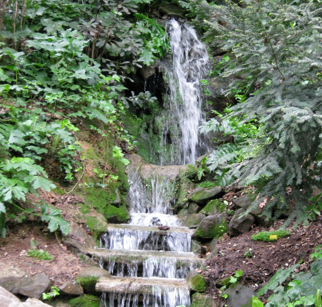 CASCADA NATURAL