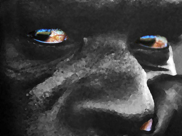 ojos
