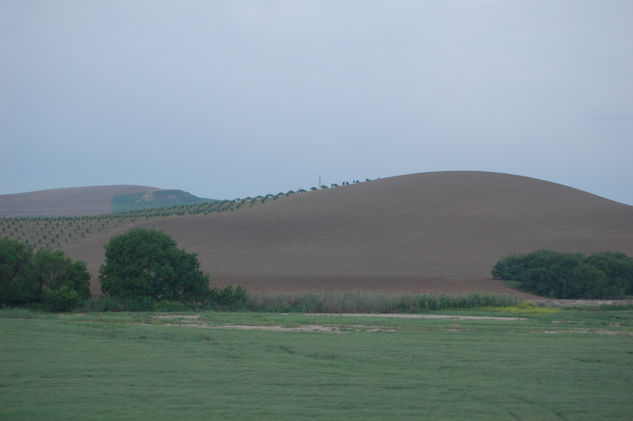 paisaje andaluz 