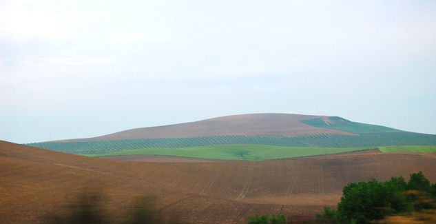 paisaje andaluz 