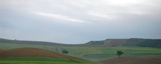 paisaje andaluz 