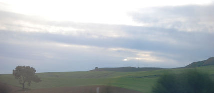 Paisaje andaluz