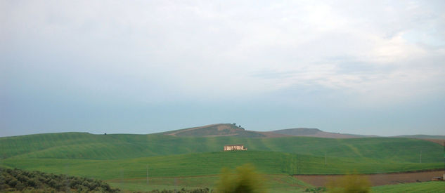 paisaje andaluz 