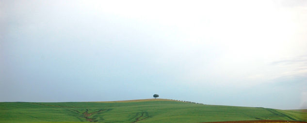 paisaje andaluz 