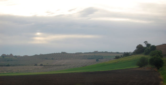 paisaje andaluz 