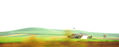 paisaje andaluz