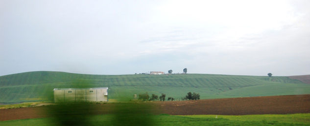 paisaje andaluz 