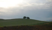 Paisaje andaluz